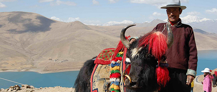 Tibet Reise Gesundheit