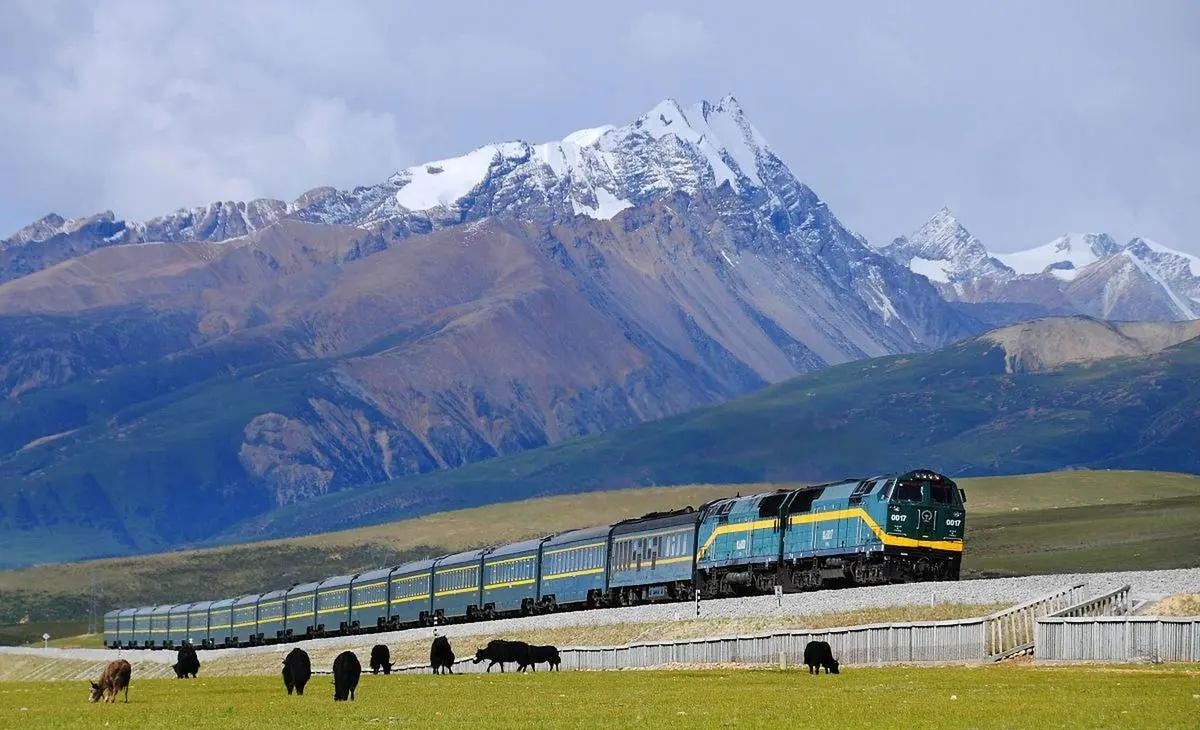 Die Zugfahrt mit der Qinghai Tibet Bahn nach Lhasa