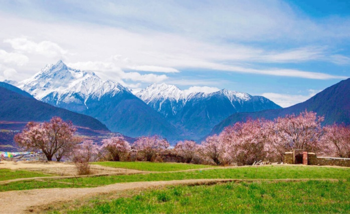 Ab April beginnt das Frühling in Tibet.